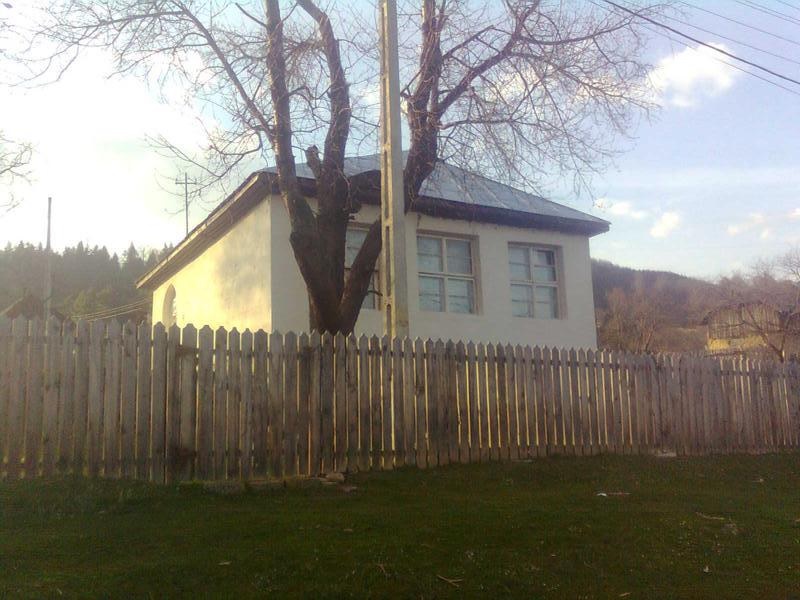 scoala bradetu